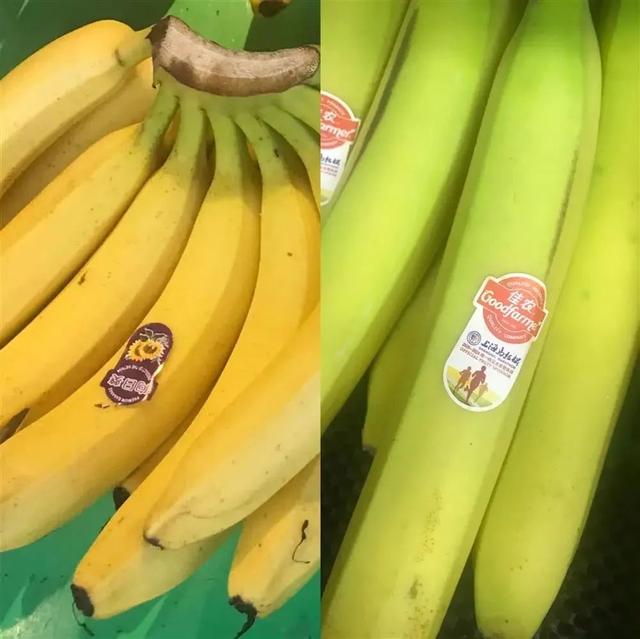 香蕉1.jpeg