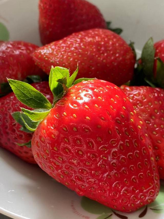 草莓2.jpeg