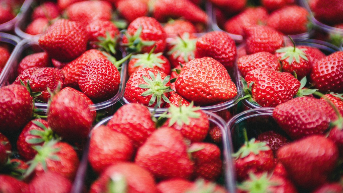 草莓.jpg