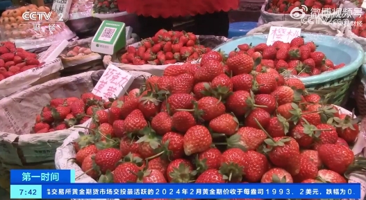 草莓2.jpg